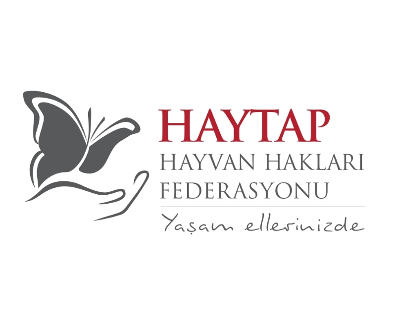 HAYTAP